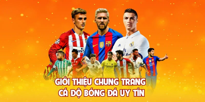 Giới thiệu chung trang cá độ bóng đá uy tín